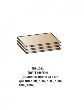ПЛ-1021 (Комплект полок из 3 шт для ШК-1001, 1002, 1003, 1004, 1005, 1007) в Казани - kazan.ok-mebel.com | фото