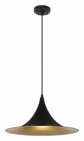 Подвесной светильник Arte Lamp Carmel A7080SP-1BK в Казани - kazan.ok-mebel.com | фото 2