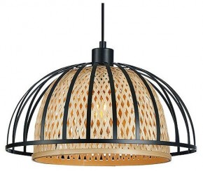 Подвесной светильник Arte Lamp Woodstock A7071SP-1BK в Казани - kazan.ok-mebel.com | фото 2