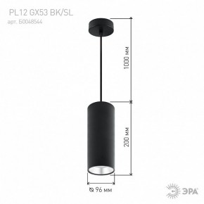 Подвесной светильник Эра  PL12 GX53 BK/SL в Казани - kazan.ok-mebel.com | фото 8
