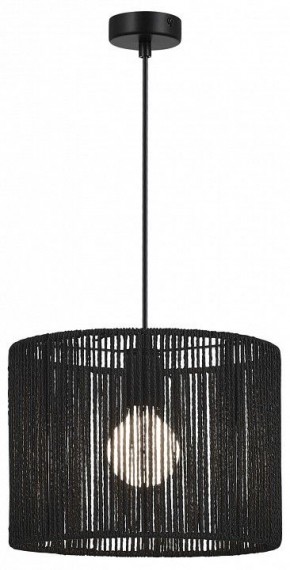 Подвесной светильник EVOLUCE ETTAN SLE6024-403-01 в Казани - kazan.ok-mebel.com | фото 2