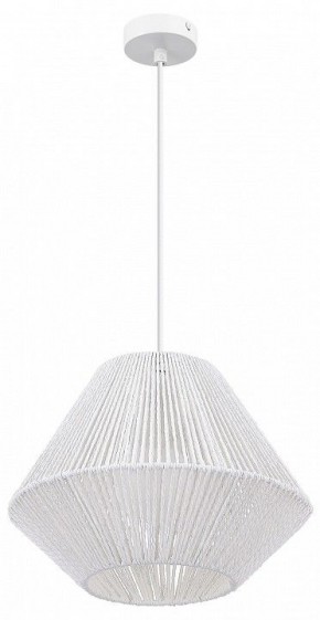 Подвесной светильник EVOLUCE ETTAN SLE6025-503-01 в Казани - kazan.ok-mebel.com | фото 3