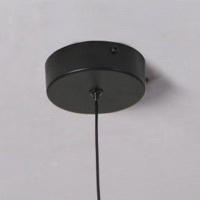 Подвесной светильник Favourite Wilet 4656-1P в Казани - kazan.ok-mebel.com | фото 10