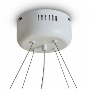Подвесной светильник Freya Rain FR5546PL-L60W в Казани - kazan.ok-mebel.com | фото 9