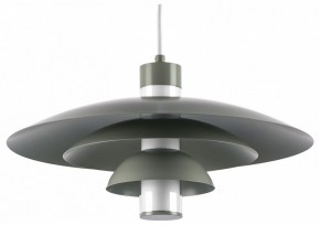 Подвесной светильник Lightstar Erbareo 799019 в Казани - kazan.ok-mebel.com | фото