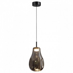 Подвесной светильник Odeon Light Nave 5098/4LC в Казани - kazan.ok-mebel.com | фото 2