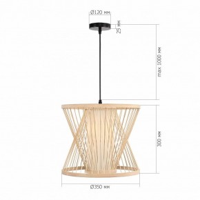 Подвесной светильник ST-Luce ALMA SL6241.503.01 в Казани - kazan.ok-mebel.com | фото 5