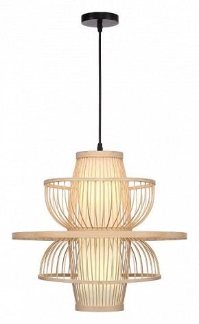 Подвесной светильник ST-Luce ALMA SL6241.513.01 в Казани - kazan.ok-mebel.com | фото 2