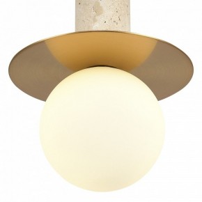 Подвесной светильник ST-Luce Earthy SL1194.303.01 в Казани - kazan.ok-mebel.com | фото 5