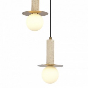 Подвесной светильник ST-Luce Earthy SL1194.303.03 в Казани - kazan.ok-mebel.com | фото 4