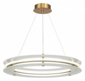 Подвесной светильник ST-Luce FAGY SL6245.203.01 в Казани - kazan.ok-mebel.com | фото 2