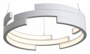 Подвесной светильник ST-Luce Genuine SL963.503.01 в Казани - kazan.ok-mebel.com | фото 2