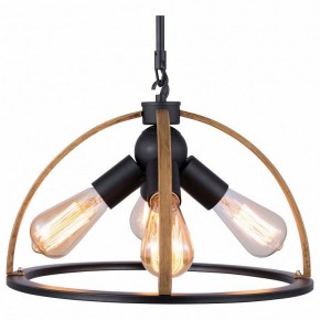 Подвесной светильник TopLight Jasmin TL1179H-04BK в Казани - kazan.ok-mebel.com | фото