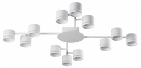 Потолочная люстра Lumion Gareta 8235/12C в Казани - kazan.ok-mebel.com | фото