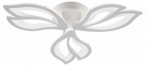 Потолочная люстра Natali Kovaltseva FORTUNA LED LAMPS 81107/2C в Казани - kazan.ok-mebel.com | фото