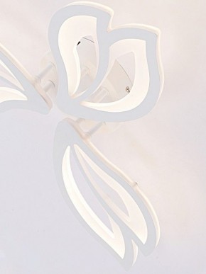 Потолочная люстра Natali Kovaltseva FORTUNA LED LAMPS 81107/2C в Казани - kazan.ok-mebel.com | фото 11