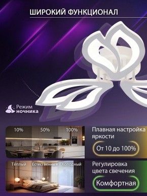 Потолочная люстра Natali Kovaltseva FORTUNA LED LAMPS 81107/2C в Казани - kazan.ok-mebel.com | фото 5