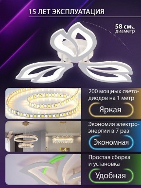 Потолочная люстра Natali Kovaltseva FORTUNA LED LAMPS 81107/2C в Казани - kazan.ok-mebel.com | фото 6