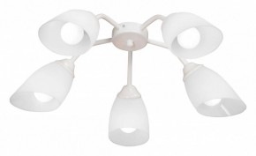 Потолочная люстра Vitaluce V31950 V31950/5PL в Казани - kazan.ok-mebel.com | фото