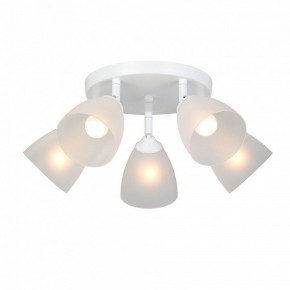 Потолочная люстра Vitaluce V4355 V4355-0/5PL в Казани - kazan.ok-mebel.com | фото 2