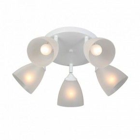 Потолочная люстра Vitaluce V4355 V4355-0/5PL в Казани - kazan.ok-mebel.com | фото 3