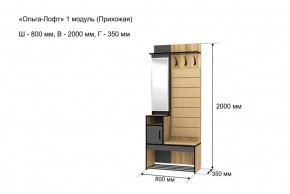 Прихожая "Ольга-Лофт 1" в Казани - kazan.ok-mebel.com | фото 4