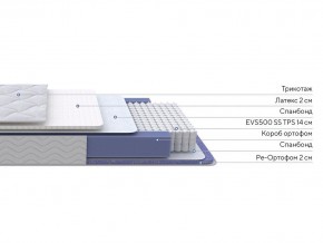 PROxSON Матрас Active Duo S/F (Ткань Трикотаж Эко) 160x195 в Казани - kazan.ok-mebel.com | фото