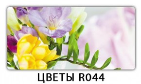 Раздвижной СТ Бриз орхидея R041 Доска D110 в Казани - kazan.ok-mebel.com | фото 12