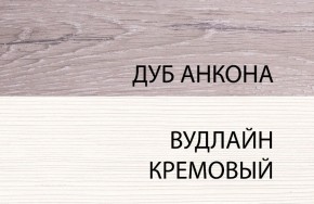 Шкаф 1DZ, OLIVIA, цвет вудлайн крем/дуб анкона в Казани - kazan.ok-mebel.com | фото 3