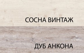 Шкаф 2D1S, MONAKO, цвет Сосна винтаж/дуб анкона в Казани - kazan.ok-mebel.com | фото