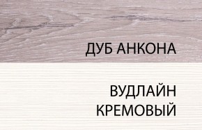 Шкаф 2DG, OLIVIA, цвет вудлайн крем/дуб анкона в Казани - kazan.ok-mebel.com | фото 3