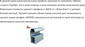 Шкаф-купе 1300 серии SILVER S5+S5+B2+PL3 (2 ящика+2 штанги) профиль «Серебро» в Казани - kazan.ok-mebel.com | фото 4