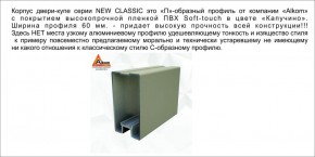 Шкаф-купе 1500 серии NEW CLASSIC K3+K3+B2+PL1 (2 ящика+1 штанга) профиль «Капучино» в Казани - kazan.ok-mebel.com | фото 5