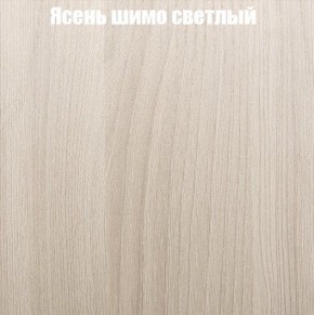 Шкаф-купе «ТАНДЕМ» 2-х дверный в алюминиевом профиле (Дверь К+К) 1600/h2200 в Казани - kazan.ok-mebel.com | фото 6