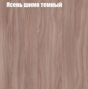 Шкаф-купе «ТАНДЕМ» 2-х дверный в алюминиевом профиле (Дверь К+К) 1600/h2200 в Казани - kazan.ok-mebel.com | фото 7