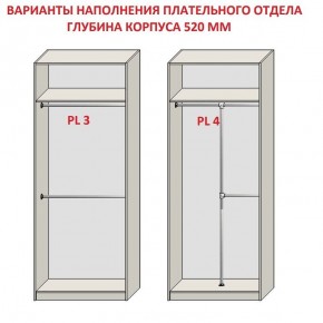 Шкаф распашной серия «ЗЕВС» (PL3/С1/PL2) в Казани - kazan.ok-mebel.com | фото 10