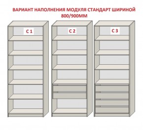 Шкаф распашной серия «ЗЕВС» (PL3/С1/PL2) в Казани - kazan.ok-mebel.com | фото 6