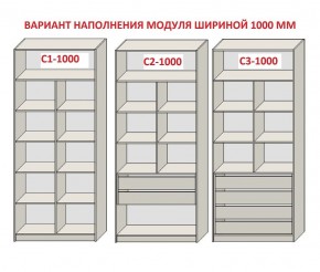 Шкаф распашной серия «ЗЕВС» (PL3/С1/PL2) в Казани - kazan.ok-mebel.com | фото 7