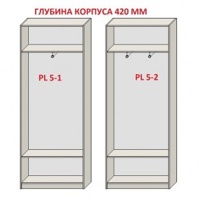 Шкаф распашной серия «ЗЕВС» (PL3/С1/PL2) в Казани - kazan.ok-mebel.com | фото 8