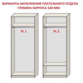 Шкаф распашной серия «ЗЕВС» (PL3/С1/PL2) в Казани - kazan.ok-mebel.com | фото 9