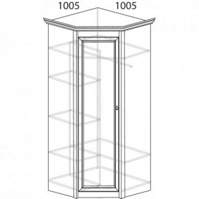 Шкаф угловой №662 "Флоренция" Фасад глухой (угол 1005*1005) Дуб оксфорд в Казани - kazan.ok-mebel.com | фото 3