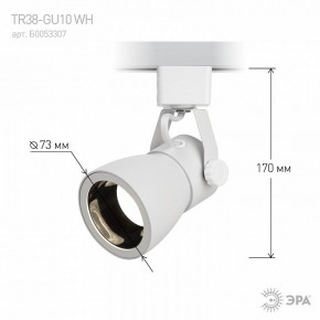 Светильник на штанге Эра  TR38-GU10 WH в Казани - kazan.ok-mebel.com | фото 6