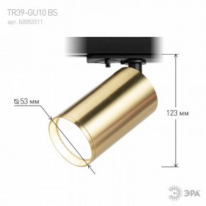 Светильник на штанге Эра  TR39-GU10 BS в Казани - kazan.ok-mebel.com | фото 6