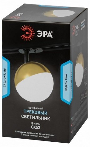 Светильник на штанге Эра  TR42-GX53 BS в Казани - kazan.ok-mebel.com | фото 6