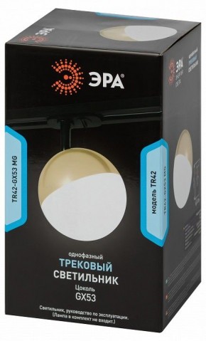 Светильник на штанге Эра  TR42-GX53 MG в Казани - kazan.ok-mebel.com | фото 6