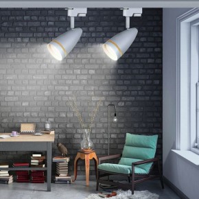 Светильник на штанге Эра  TR49 - GU10 WH в Казани - kazan.ok-mebel.com | фото 2