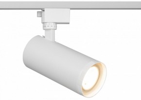 Светильник на штанге Эра  TR59 - 3030 WH в Казани - kazan.ok-mebel.com | фото