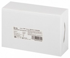 Светильник на штанге Эра  TRM-S5-3-12W4K-BK в Казани - kazan.ok-mebel.com | фото 8