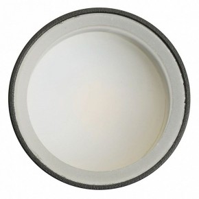 Светильник на штанге Feron ML1001 51371 в Казани - kazan.ok-mebel.com | фото 4
