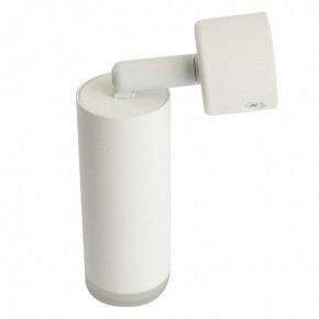 Светильник на штанге Feron ML1021 51390 в Казани - kazan.ok-mebel.com | фото 3
